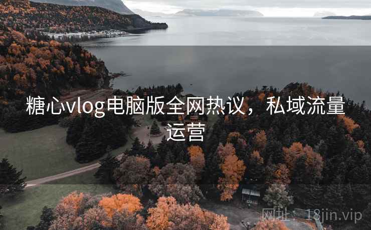 糖心vlog电脑版全网热议，私域流量运营