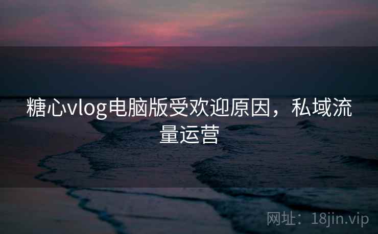 糖心vlog电脑版受欢迎原因，私域流量运营