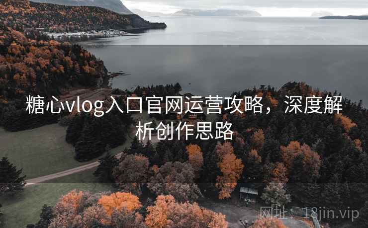 糖心vlog入口官网运营攻略，深度解析创作思路